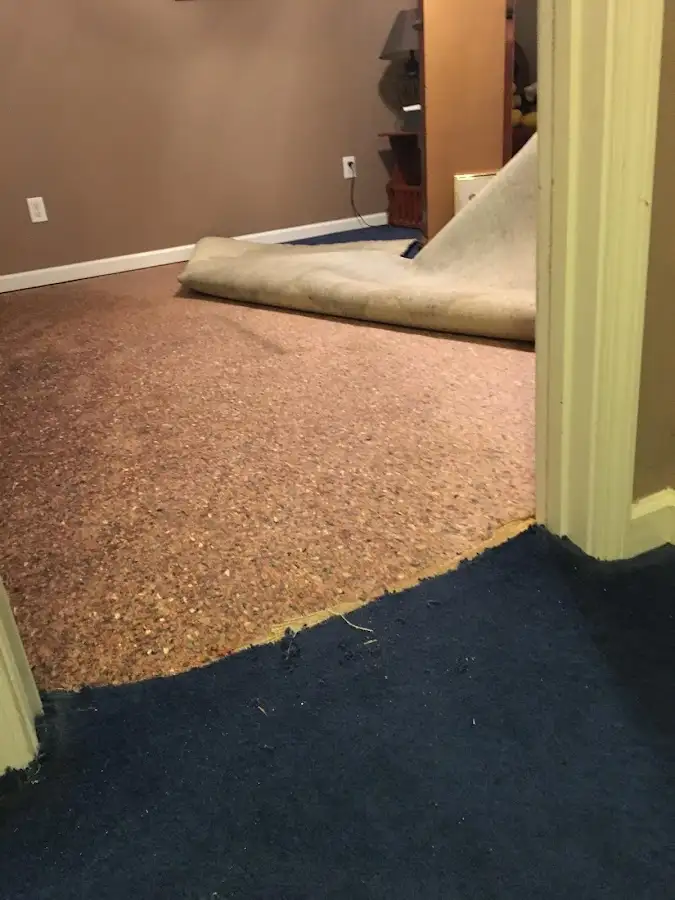 Carpet pad removal revealing water damage during Drying & Dehumidification in La Porte