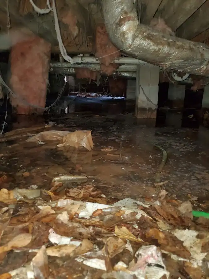 Crawl space flood assessment for Leak Detection & Repair in La Porte